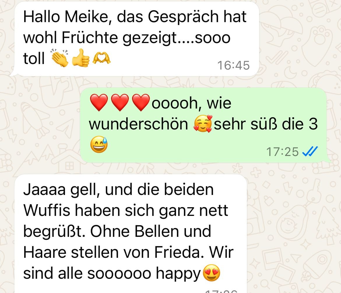 WhatsApp Image 2025-05-26 at 5.09.11 PM